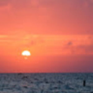 Meet your Posher, Stevi lynn